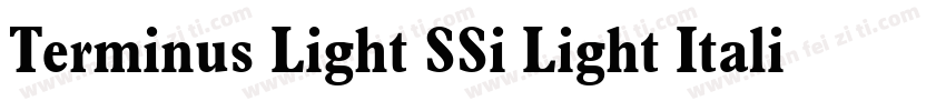 Terminus Light SSi Light Italic字体转换